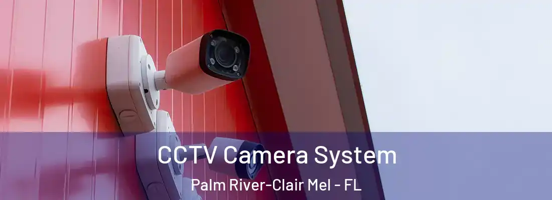  CCTV Camera System Palm River-Clair Mel - FL