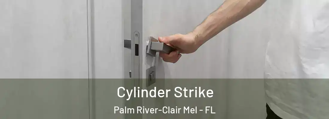  Cylinder Strike Palm River-Clair Mel - FL