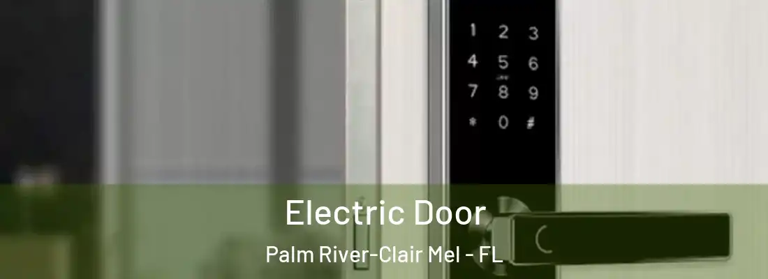  Electric Door Palm River-Clair Mel - FL
