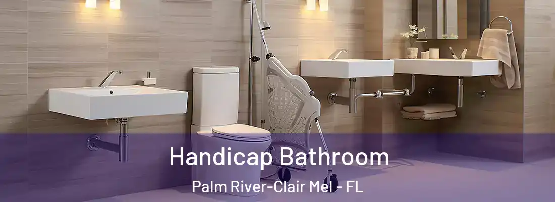  Handicap Bathroom Palm River-Clair Mel - FL