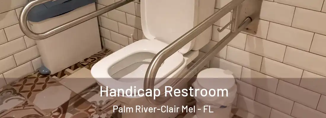  Handicap Restroom Palm River-Clair Mel - FL