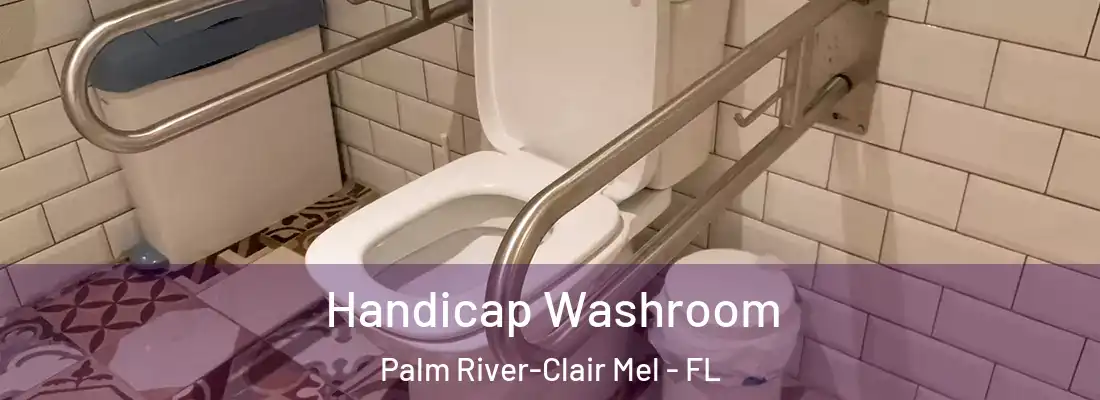  Handicap Washroom Palm River-Clair Mel - FL