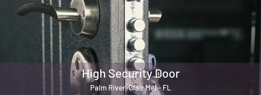  High Security Door Palm River-Clair Mel - FL